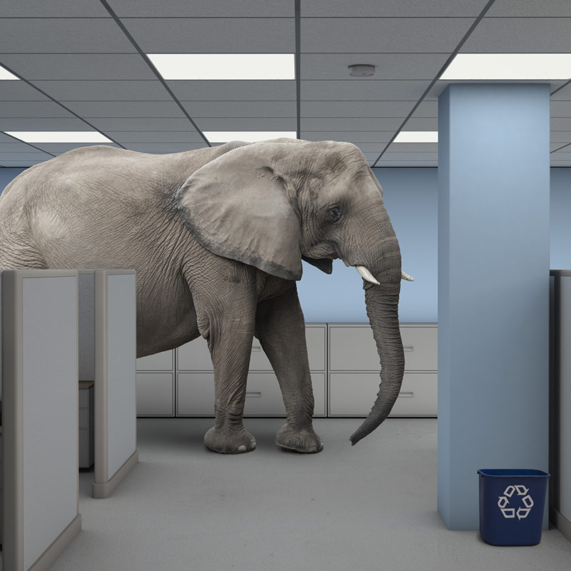 Social Security: Elephant in the Room